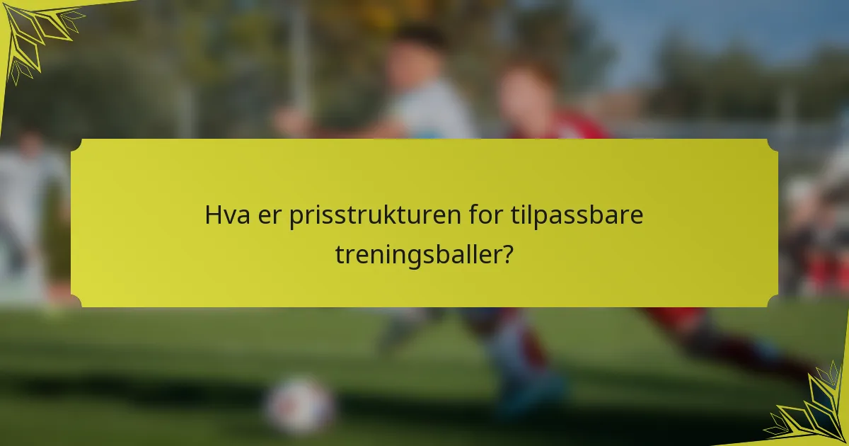 Hva er prisstrukturen for tilpassbare treningsballer?