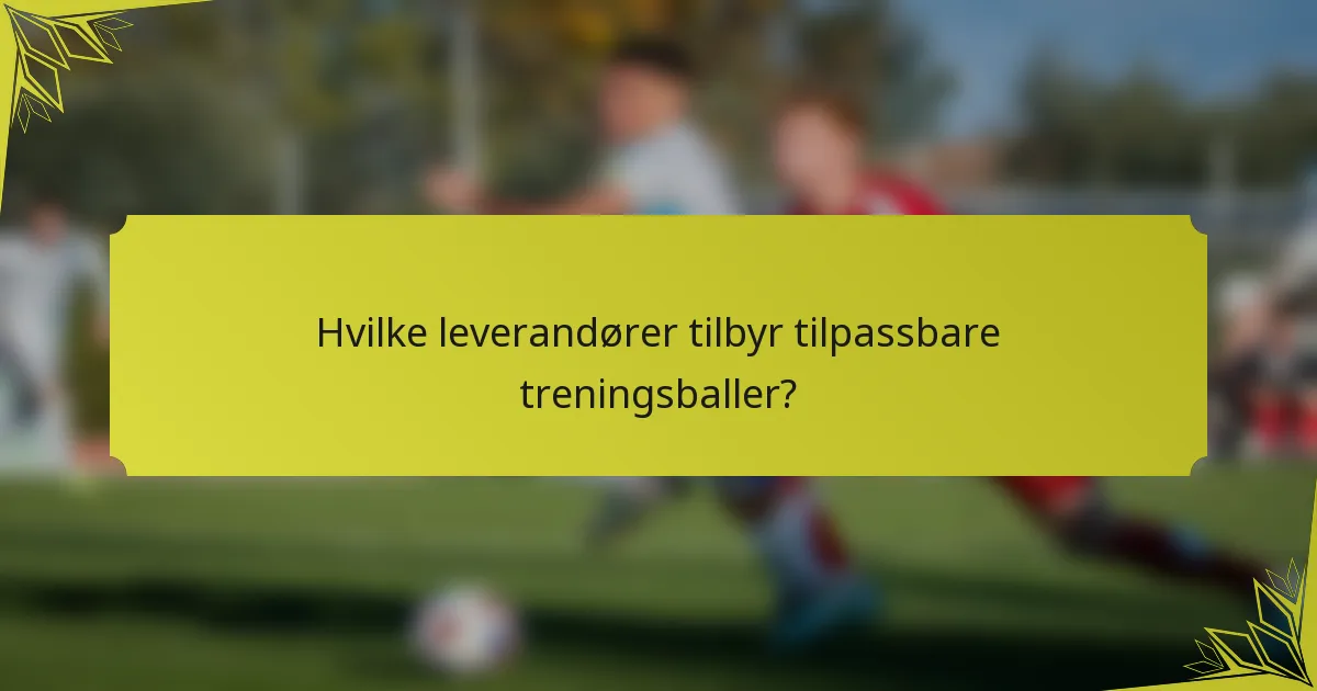Hvilke leverandører tilbyr tilpassbare treningsballer?