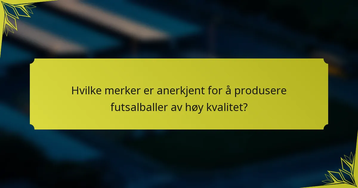 Hvilke merker er anerkjent for å produsere futsalballer av høy kvalitet?