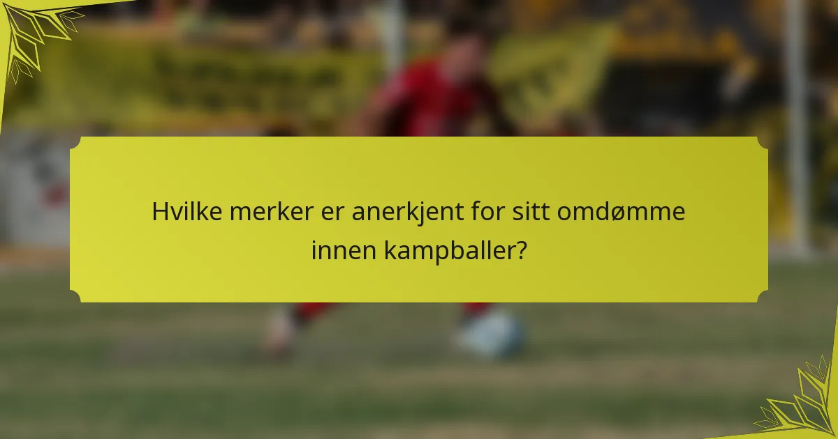 Hvilke merker er anerkjent for sitt omdømme innen kampballer?