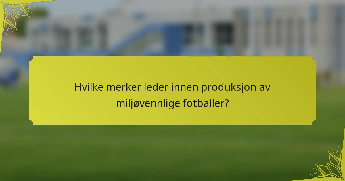 Hvilke merker leder innen produksjon av miljøvennlige fotballer?
