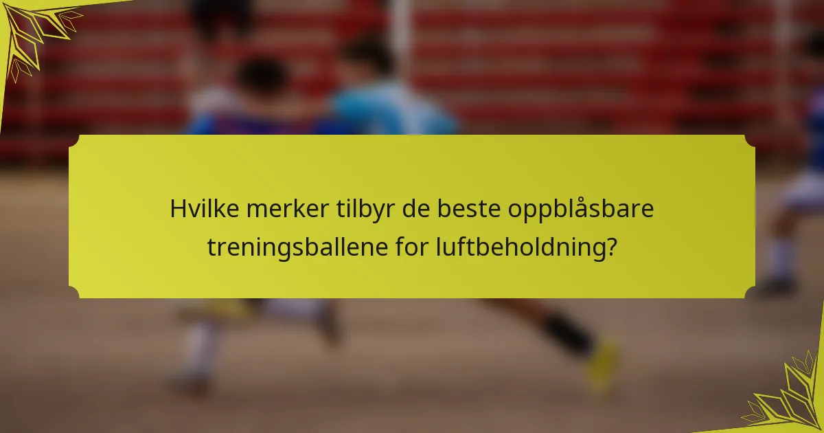 Hvilke merker tilbyr de beste oppblåsbare treningsballene for luftbeholdning?