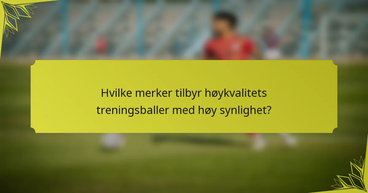Hvilke merker tilbyr høykvalitets treningsballer med høy synlighet?