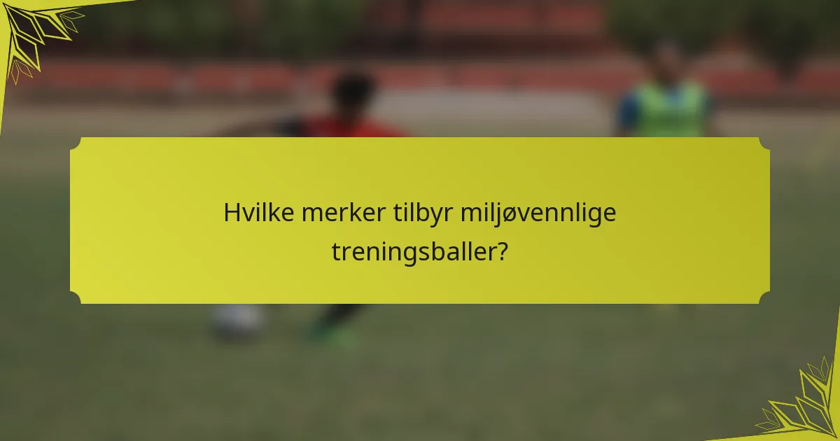 Hvilke merker tilbyr miljøvennlige treningsballer?