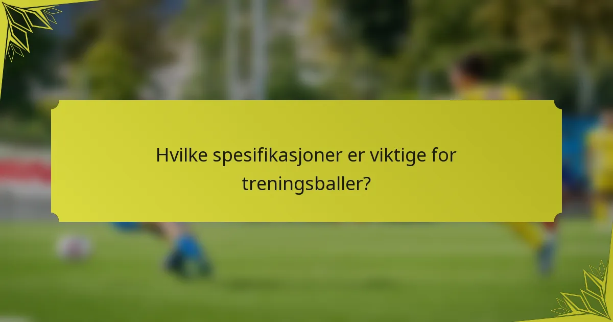 Hvilke spesifikasjoner er viktige for treningsballer?